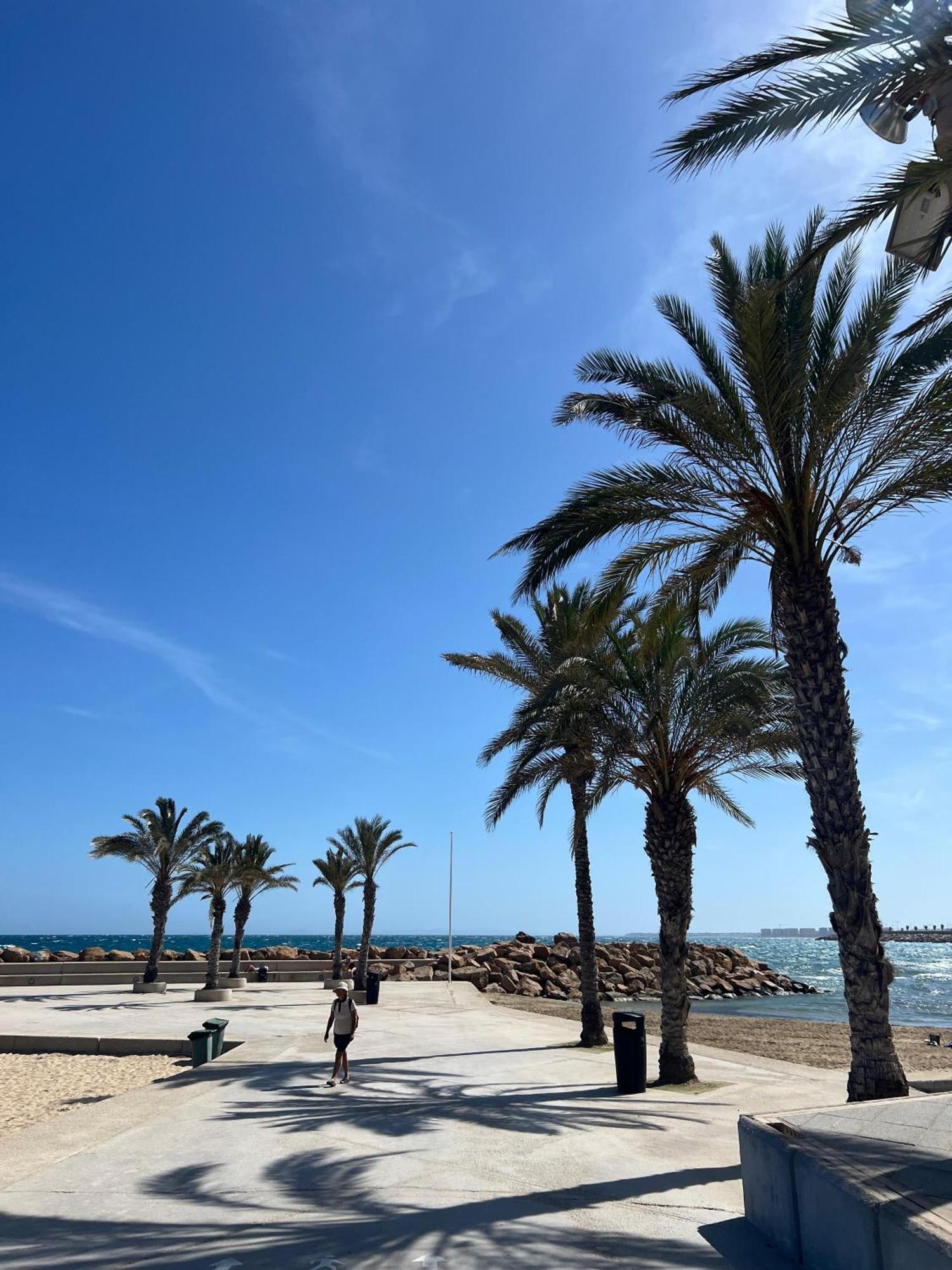 Appartement Torrevieja Alicante المظهر الخارجي الصورة